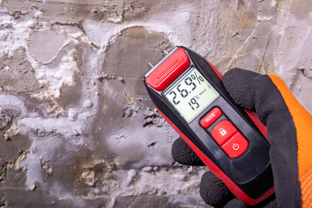 Best Emergency Mold Removal  in Carthage, IL
