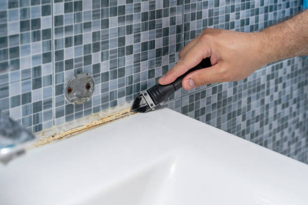 Trusted Carthage, IL Mold Removal Experts