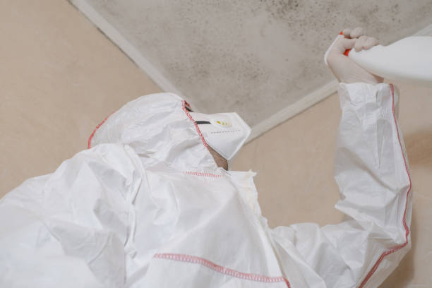 Best Toxic Mold Removal  in Carthage, IL